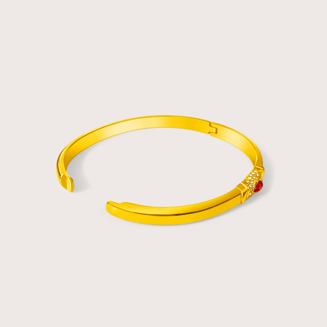 Ailany | Bangle